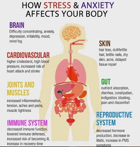 HOW STRESS EFFECTS YOUR BODY